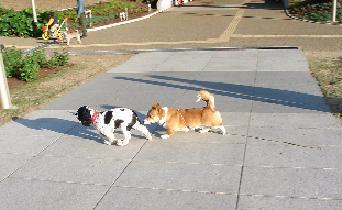 ebisu_20050509.001.jpg
