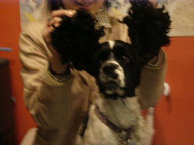ebisu_20060418.jpg