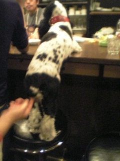 ebisu_20060424.jpg