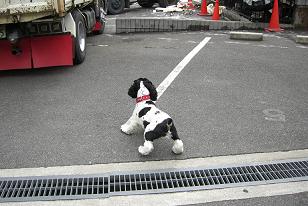 ebisu_20060519.jpg