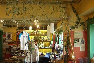 ebisu_20060627.sasa.jpg