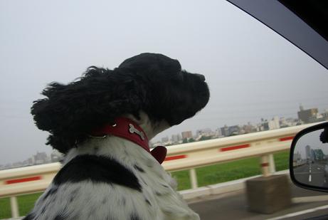 ebisu_20060721.b.jpg