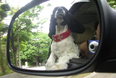 ebisu_20060721.jpg