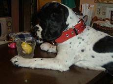 ebisu_20061112.caipi.jpg