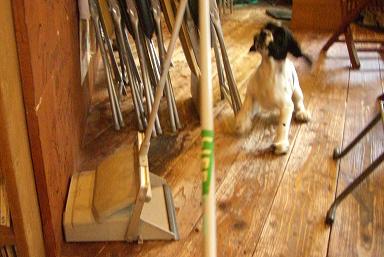 ebisu_20061116.gya.jpg