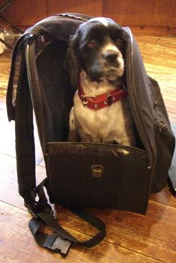 ebisu_20061118.ebibag.jpg