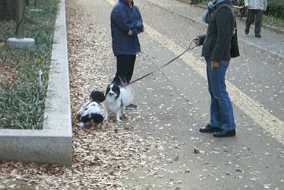 ebisu_20061228.mukaiai.jpg