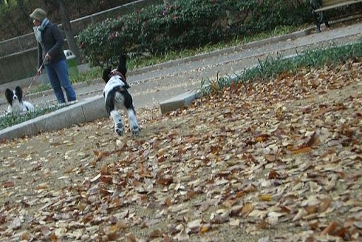 ebisu_20061228.start.jpg