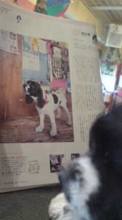 ebisu_20070330.jpg