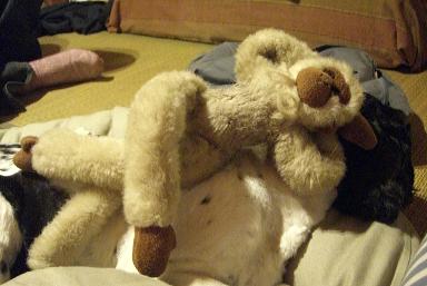 ebisu_20070701.saru.jpg