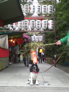 ebisu_2008ebisu.jpg
